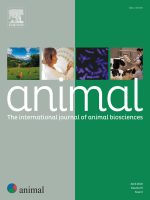 cover_Animal